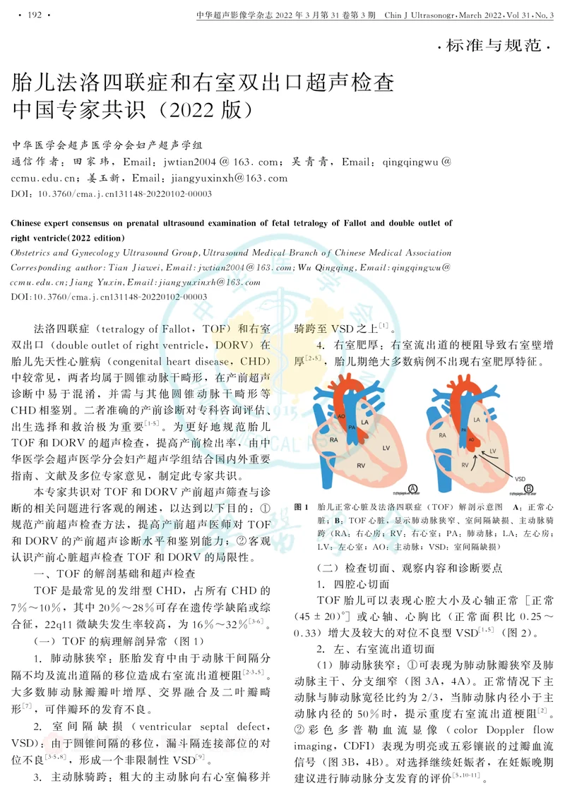 胎儿法洛四联症和右室双出口超声检查中国专家共识(2022版)