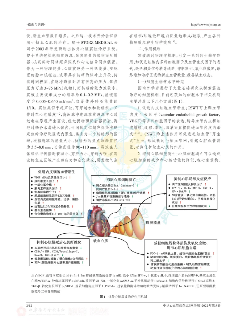 体外心脏震波治疗冠心病中国专家共识（2022版）