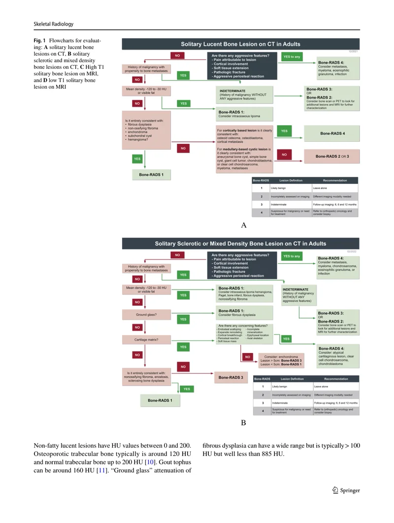 SSR：成人CT和MRI检查偶发的孤立性骨病变诊断管理的指南（2022）