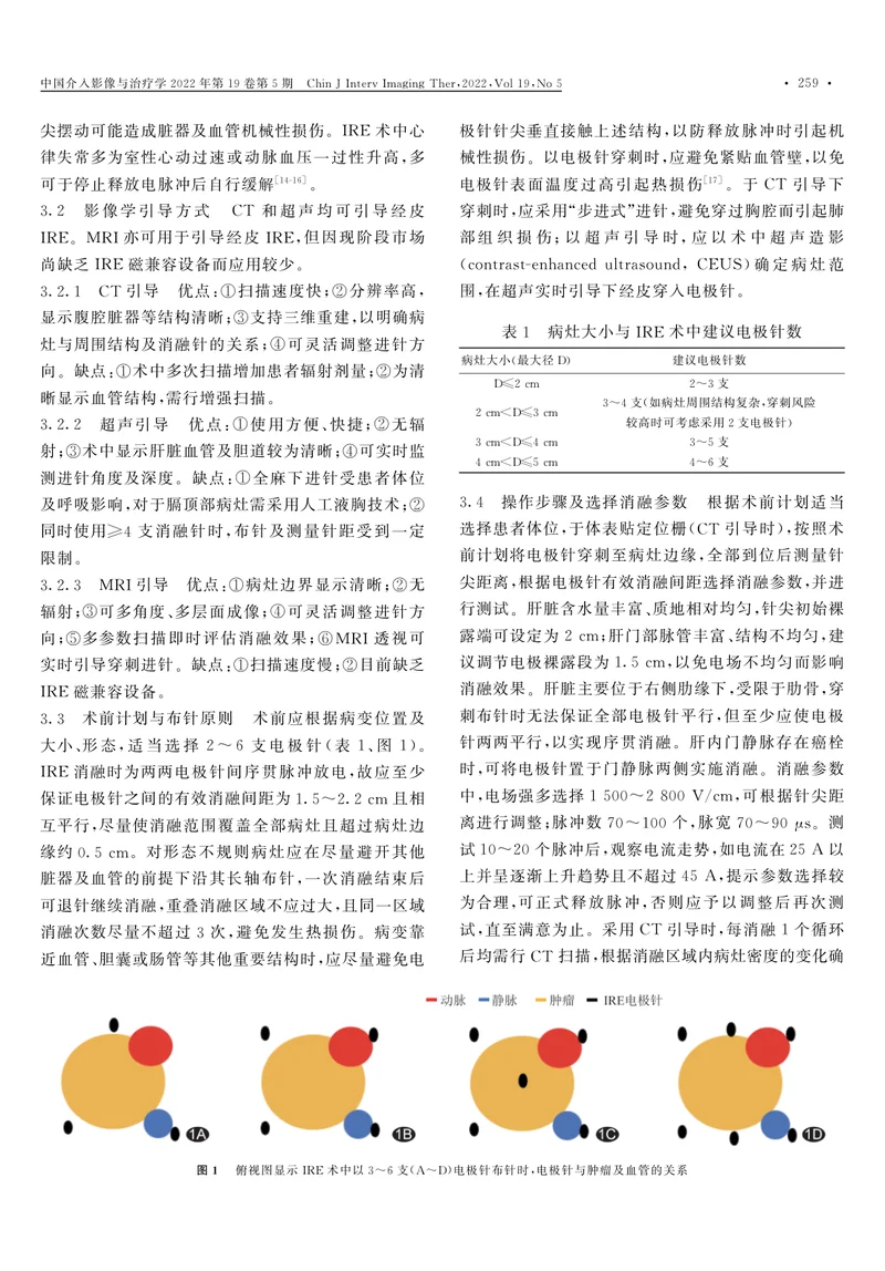 影像学引导下不可逆电穿孔消融治疗肝脏恶性肿瘤专家共识（2022版）