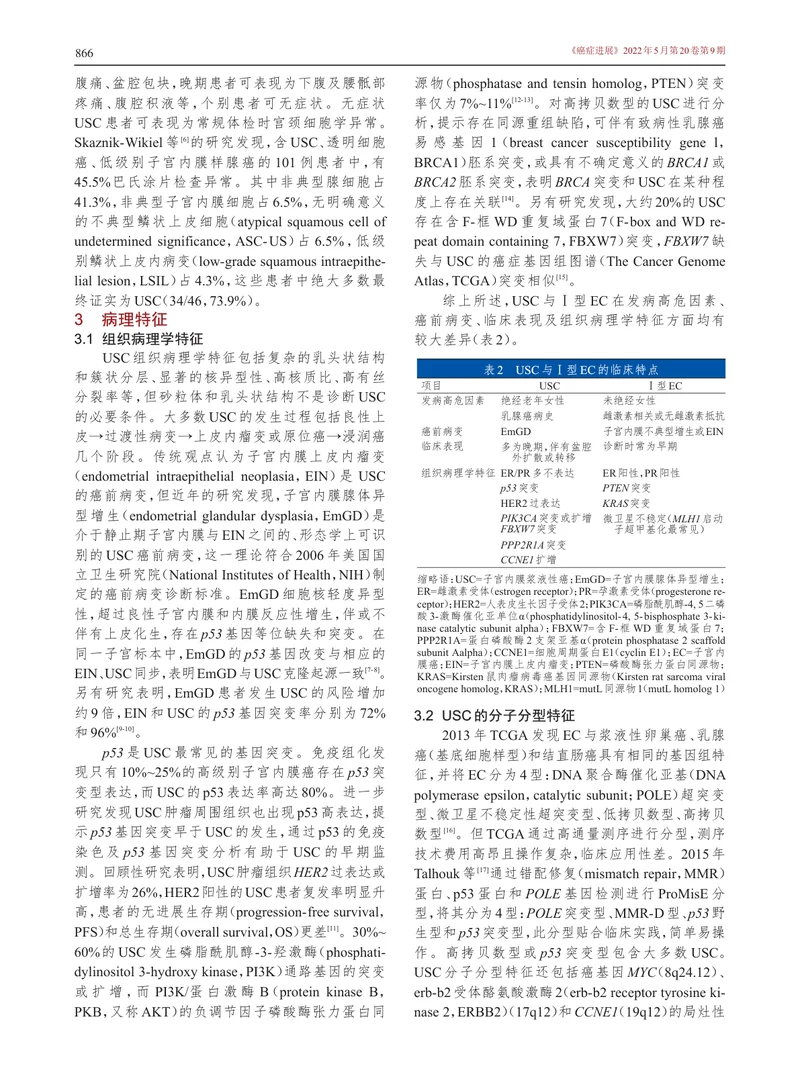 子宫内膜浆液性癌诊治的中国专家共识（2022年版）