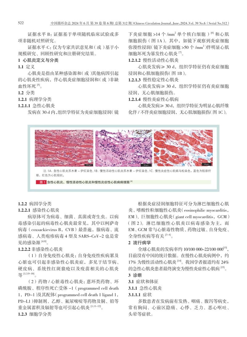 1_中国成人心肌炎临床诊断与治疗指南+2024