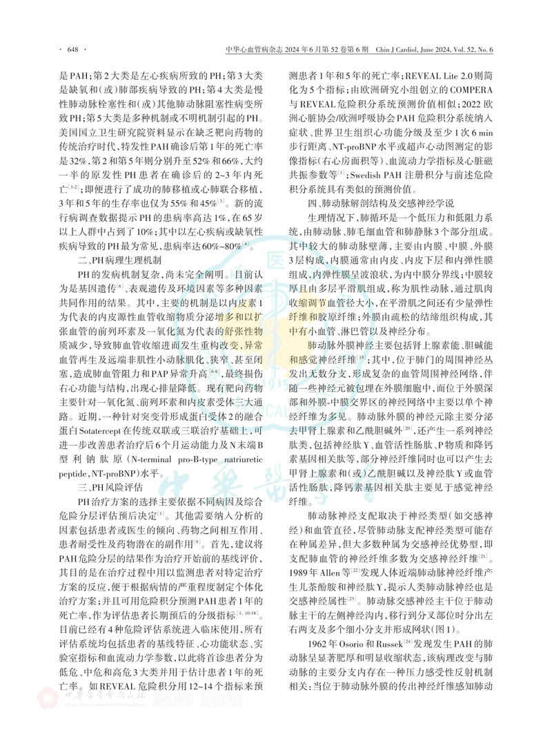 经皮肺动脉去神经术治疗肺动脉高压的中国专家建议