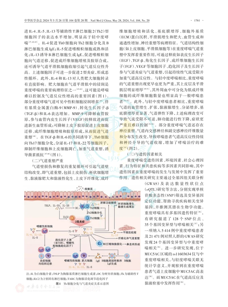 重度哮喘诊断与处理中国专家共识（2024）