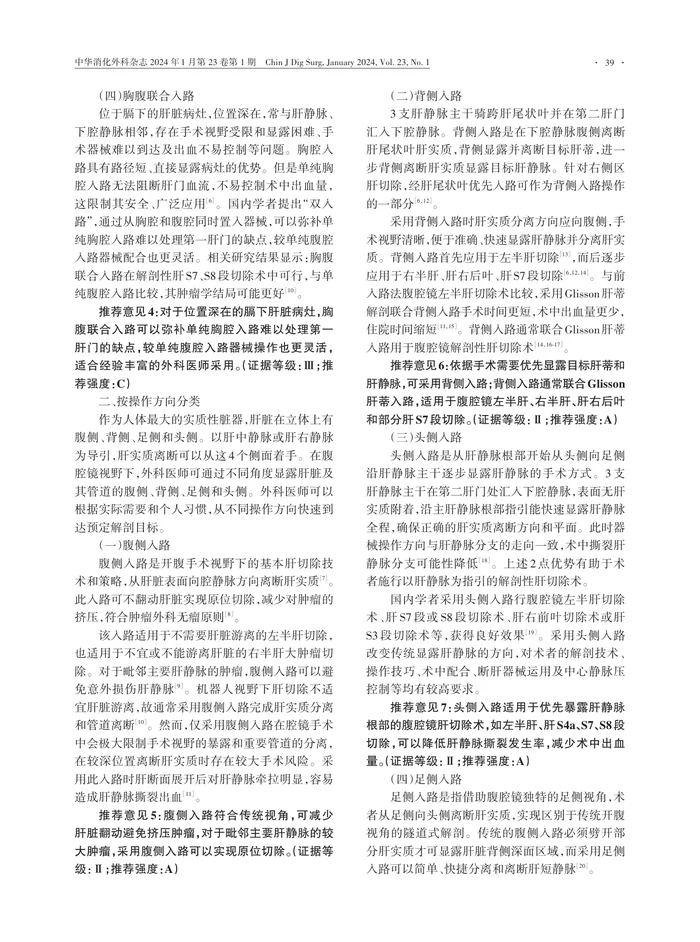 腹腔镜肝切除手术入路中国专家共识（2023版）(1)