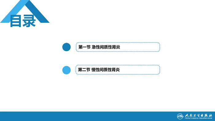 第四章  间质性肾炎