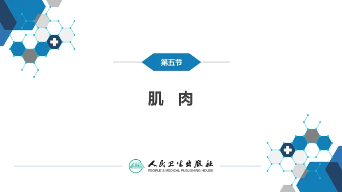 第二章 神经系统的解剖、生理及病损的定位诊断（4）