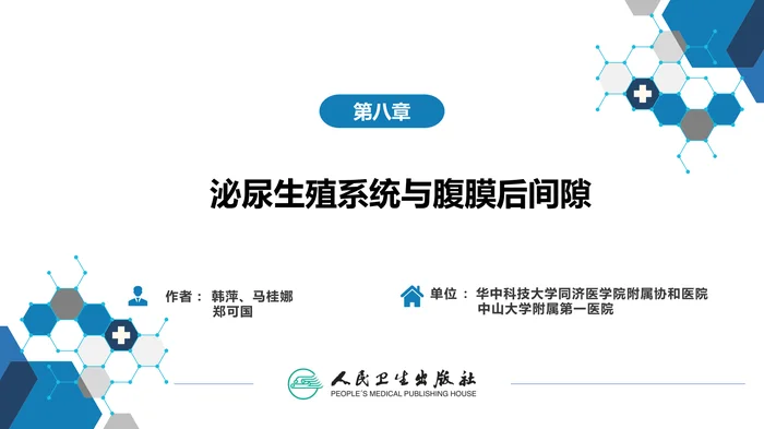第八章 泌尿生殖系统与腹膜后间隙 第一节 泌尿系统