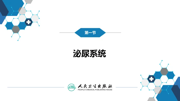 第八章 泌尿生殖系统与腹膜后间隙 第一节 泌尿系统