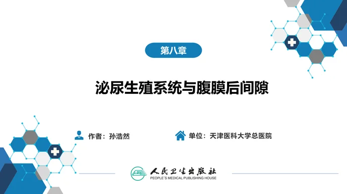 第八章 泌尿生殖系统与腹膜后间隙 第二节 肾上腺