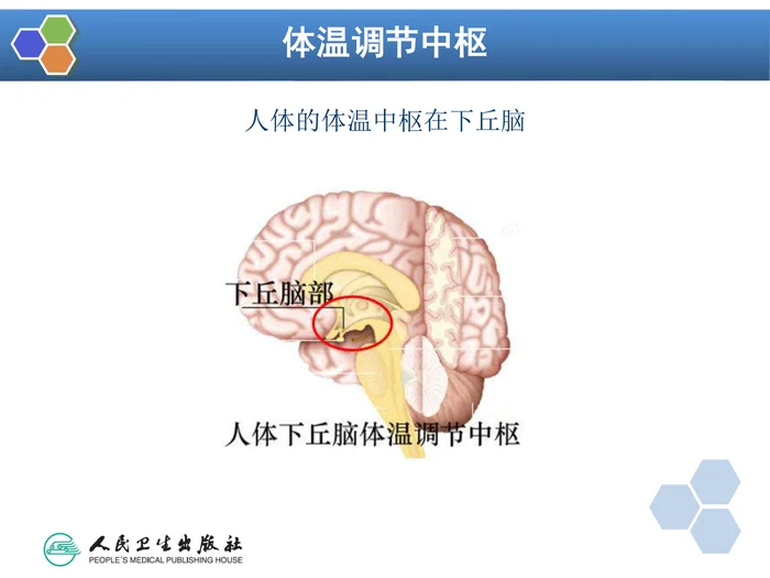 第12章 麻醉期间的体温管理