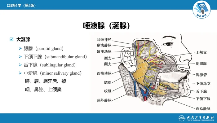 第十二章 唾液腺常见疾病