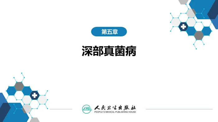 第五章 深部真菌病 第三节 曲霉病
