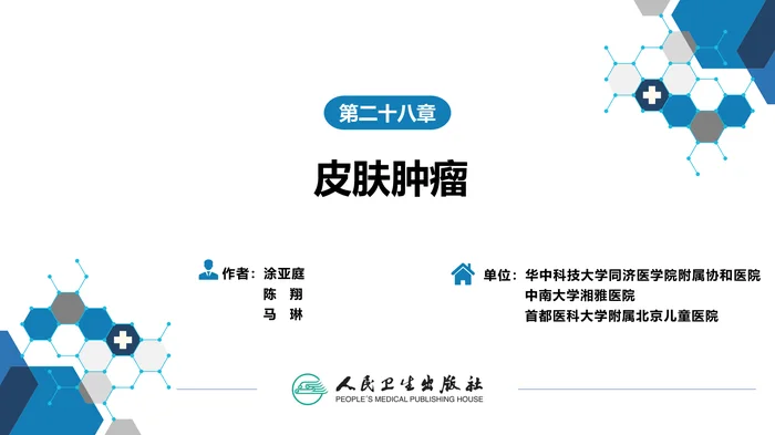 第二十八章 皮肤肿瘤（第12～16节）