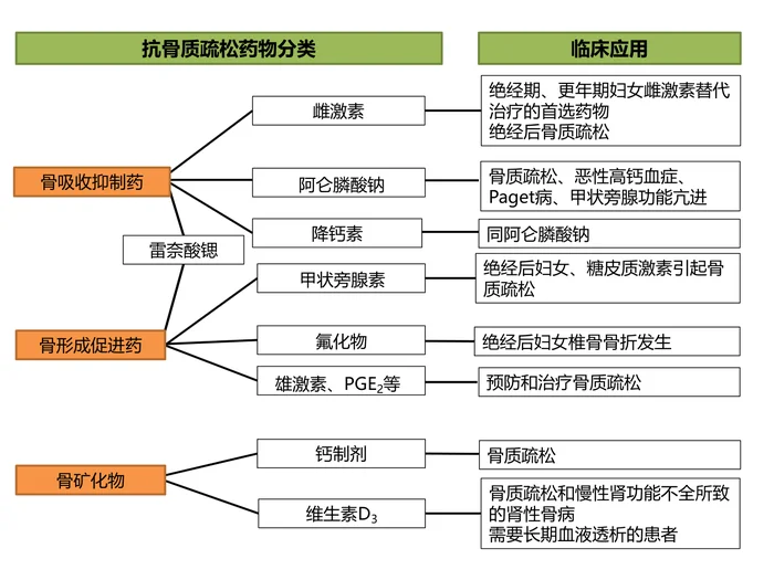 第三十八章 抗骨质疏松药 本章小结