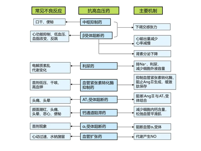 第二十五章 抗高血压药 本章小结