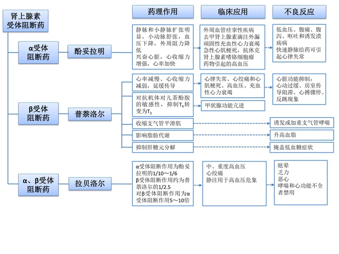 第十一章 肾上腺素受体阻断药 本章小结