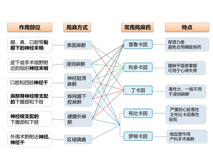 第十四章 局部麻醉药 本章小结