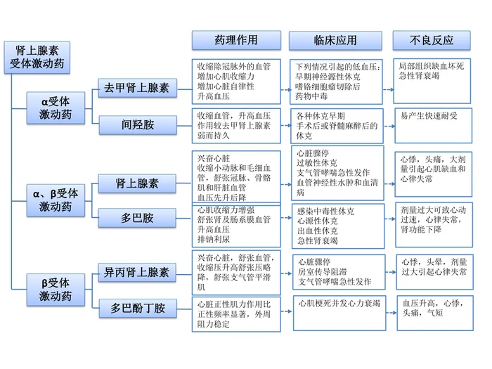 第十章 肾上腺素受体激动药 本章小结