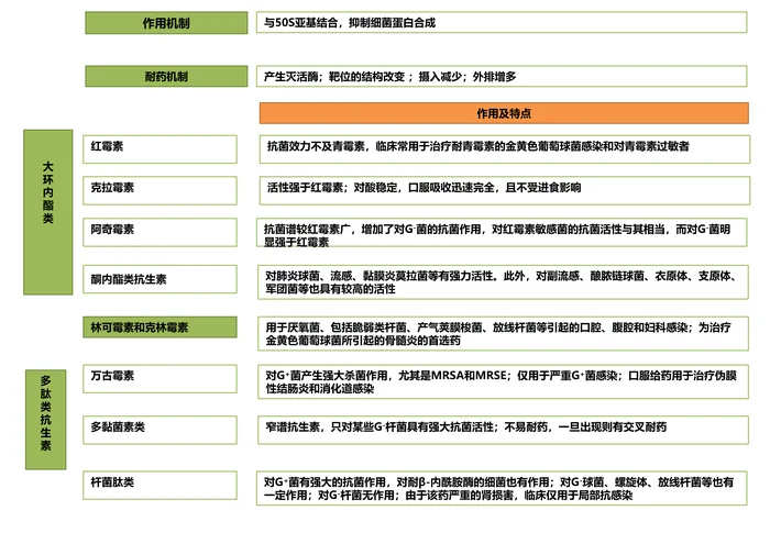 第四十一章 大环内酯类、林可霉素及多肽类抗生素 本章小结