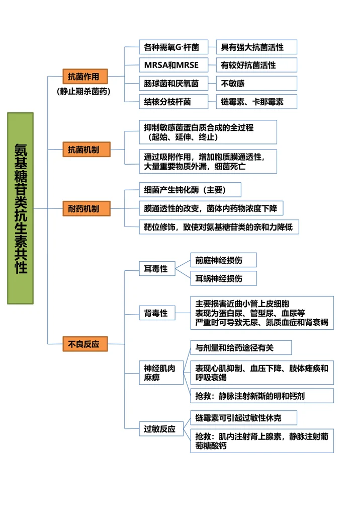 第四十二章 氨基苷类抗生素 本章小结