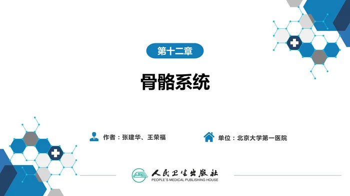 第二篇 临床篇 第十二章 骨骼系统