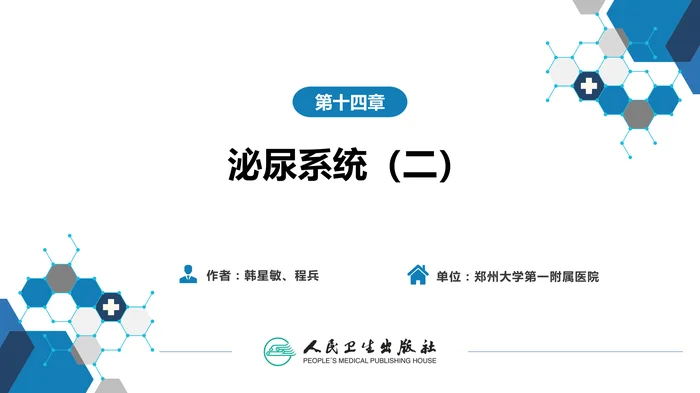 第二篇 临床篇 第十四章 泌尿系统（二）