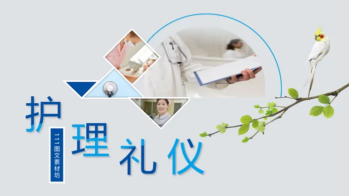 护理礼仪