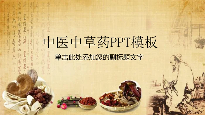 中医中草药PPT模板